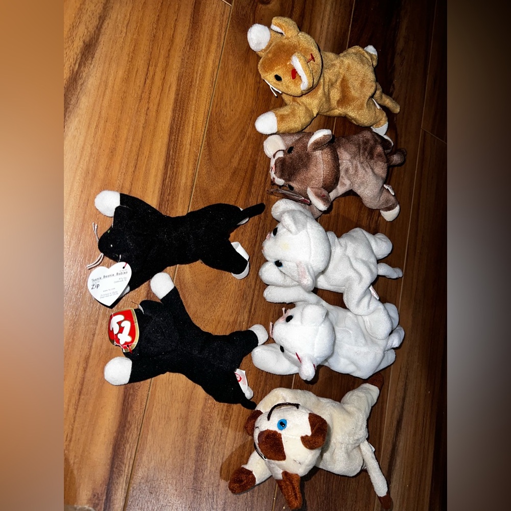 Ty beanie baby cat bundle